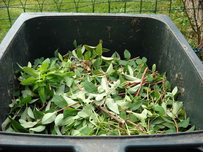 Composting Tips